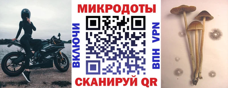 Псилоцибиновые грибы ЛСД Славянск-на-Кубани